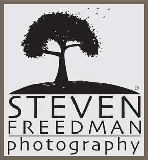 Steven Freedman Photography
